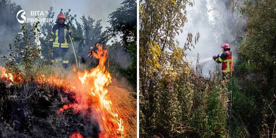 Вогонь охопив три райони Вінниччини рятувальники назвали причину пожеж