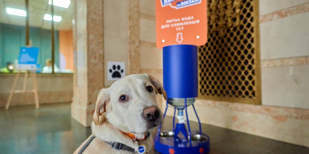 Вокзал Вінниці став Pet-friendly - там облаштують зручну поїлку для тварин
