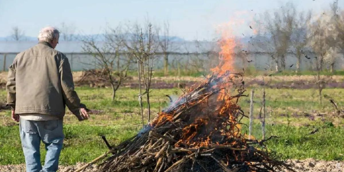Восени у Вінниці вісім людей оштрафували за спалювання сухої рослинності