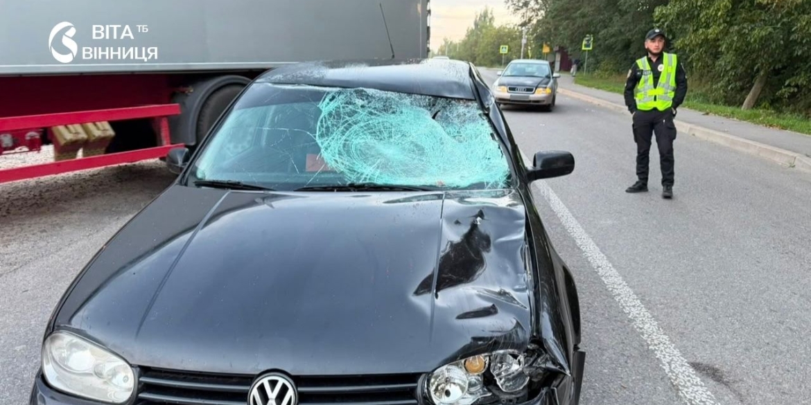 Вибіг на дорогу під колеса авто під Вінницею загинув 66-річний чоловік