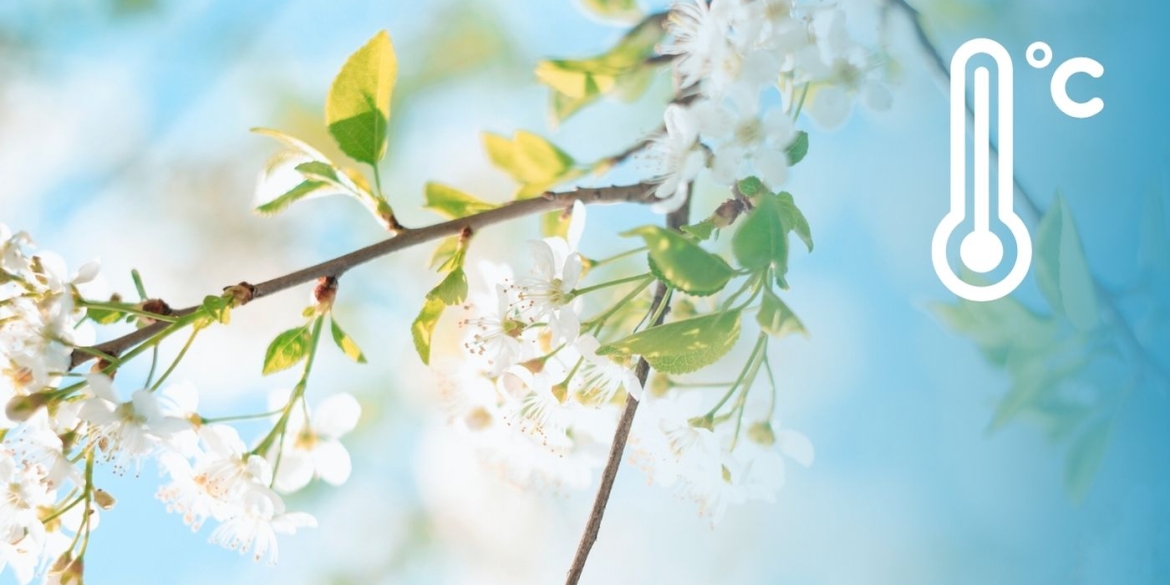 Вихідні з дощем, а будні з морозом синоптики оприлюднили детальний прогноз для Вінниці