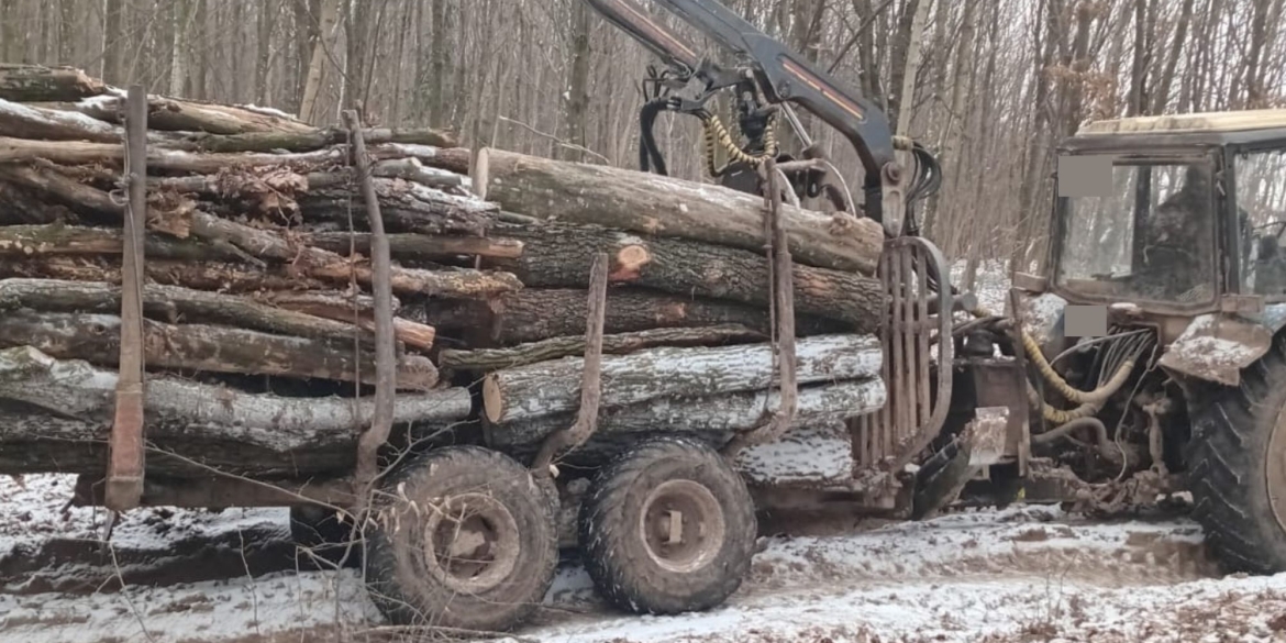 Виявили факт незаконного вивезення деревини на Вінниччині