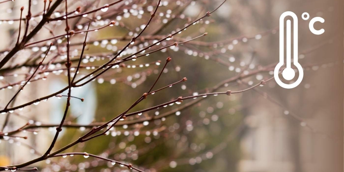 Як довго протримається похолодання на Вінниччині відповідь дають синоптики