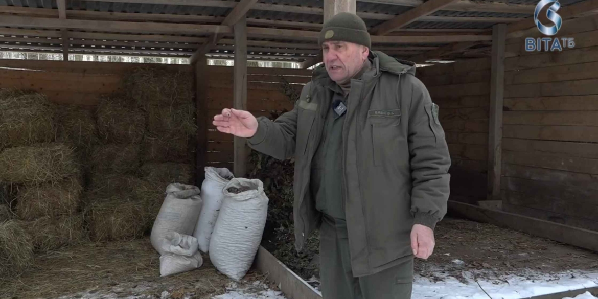 Як лісівники Вінниччини взимку підгодовують взимку диких тварин