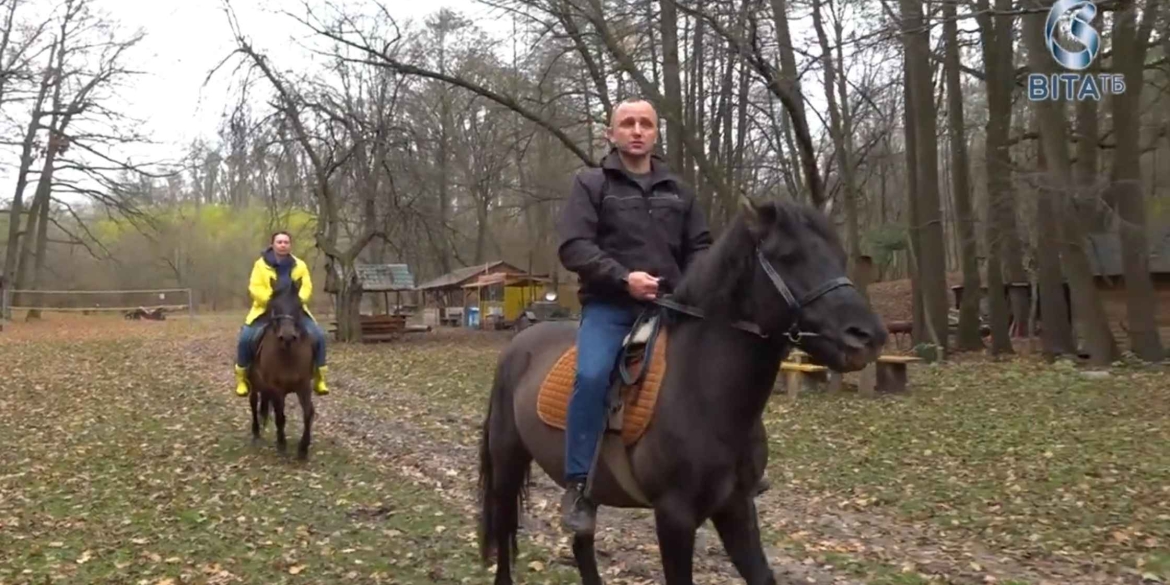 Як на Вінниччині відроджують рідкісну українську породу коней-гуцуликів