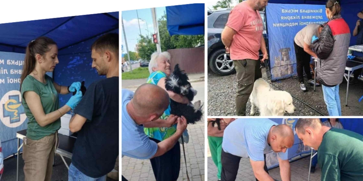 Як та скільки тварин у приватному секторі Вінниці безкоштовно вакцинували від сказу