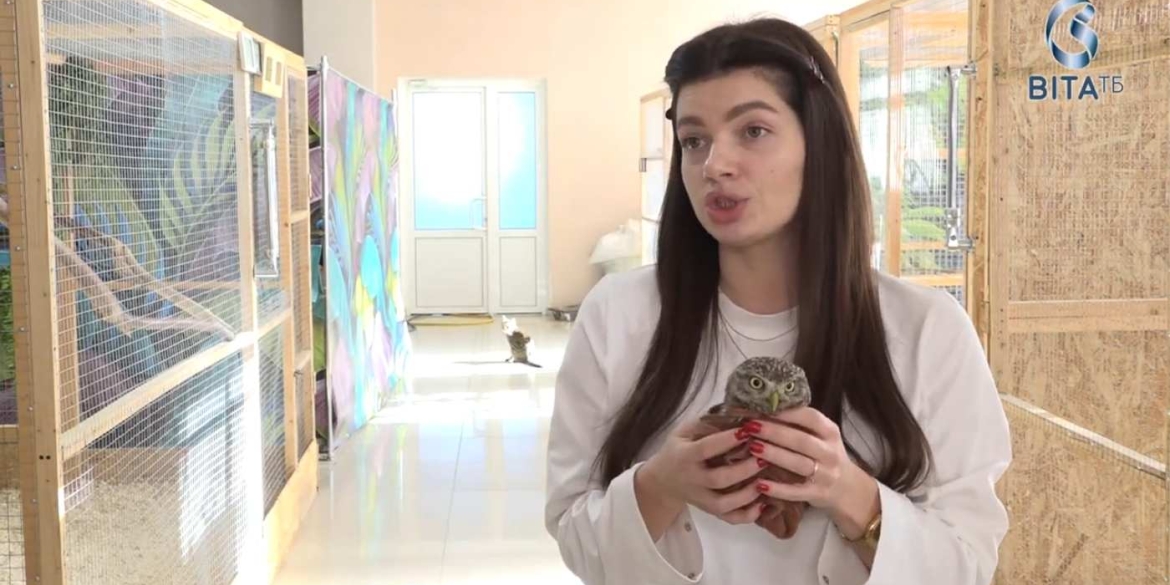 Як у вінницькому центрі реабілітаціївиходжують диких птахів та покинутих домашніх улюбленців