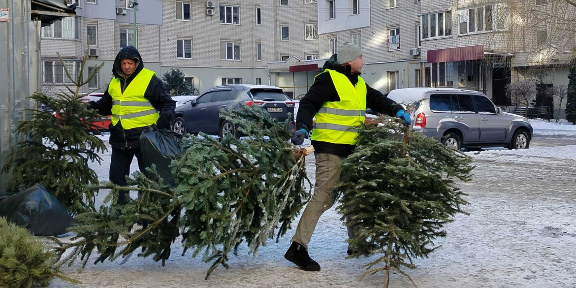 Як вінничани можуть утилізувати ялинки після новорічних свят