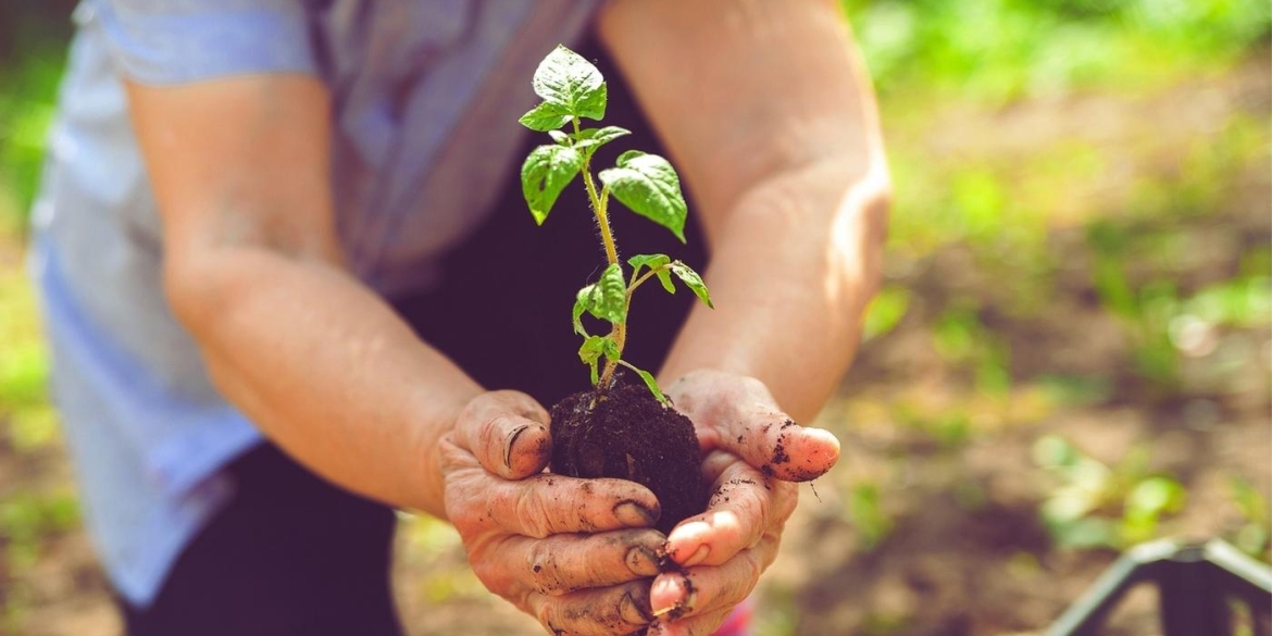 Як Вінницька громада розвиває власний аграрний сектор і якими здобутками вже може похвалитись
