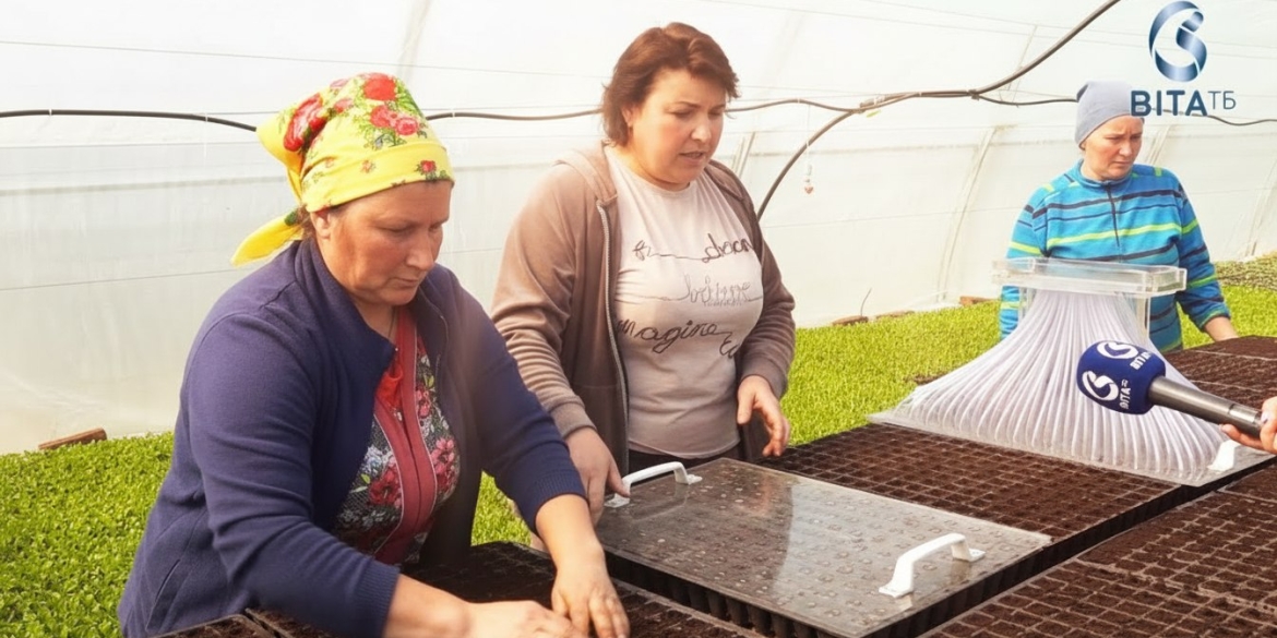 Як вінницькі фермери готуються до нового овочевого сезону