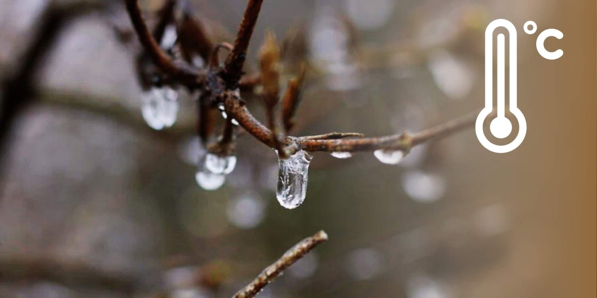 Якщо довіряти прогнозам погода в останній день зими на Вінниччині може здивувати