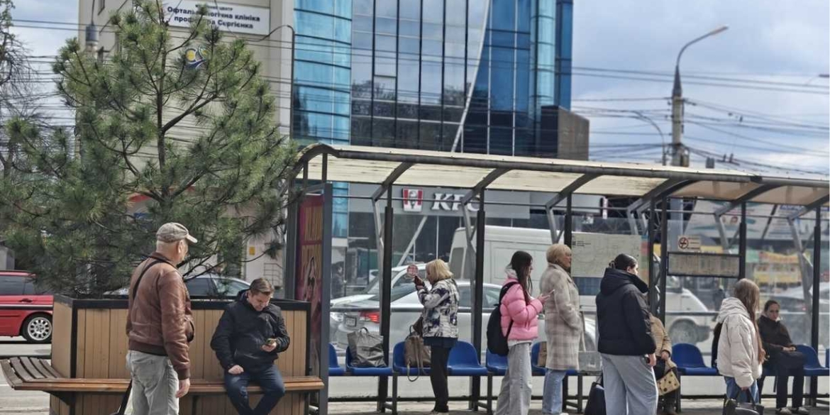 З Майдану Небесної Сотні до «Пироговки» чому у Вінниці перемістили вуличні кашпо з деревами