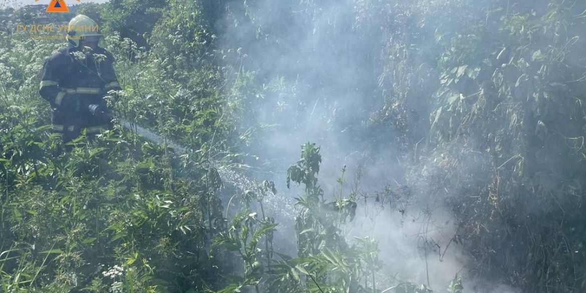 За добу, 29 травня, на Вінниччині сталося вісім пожеж в екосистемах