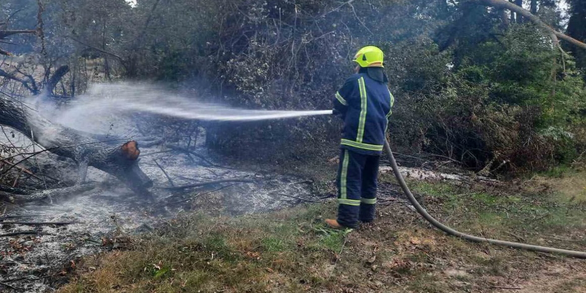 За добу, 30 серпня, на Вінниччині сталося 12 пожеж в екосистемах