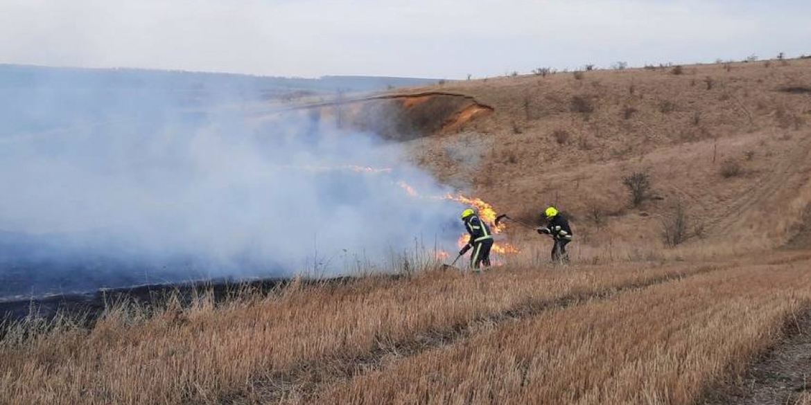 За добу, 6 березня, на Вінниччині сталося 13 пожеж в екосистемах