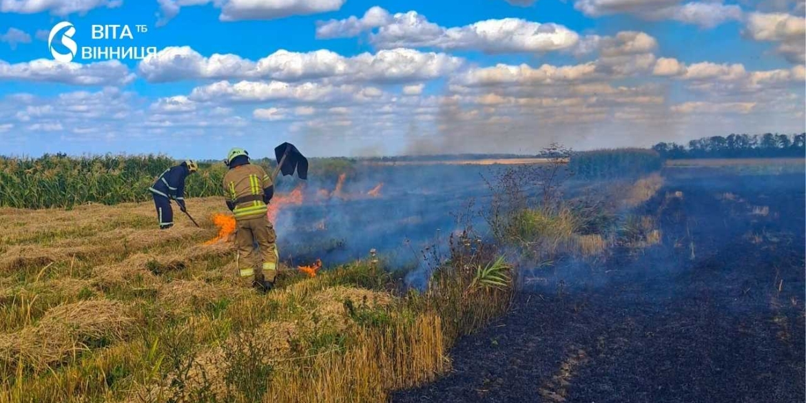 За добу на Вінниччині 15 разів горіла суха трава та стерня