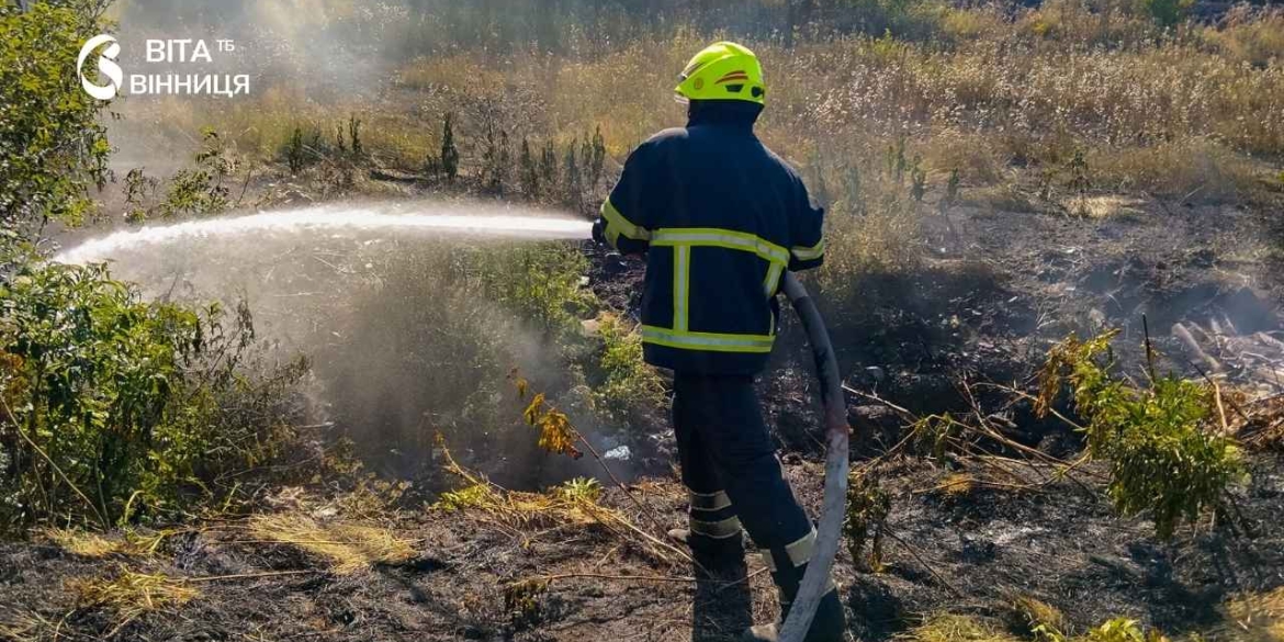 За добу на Вінниччині вогонь охопив понад 8 гектарів екосистем