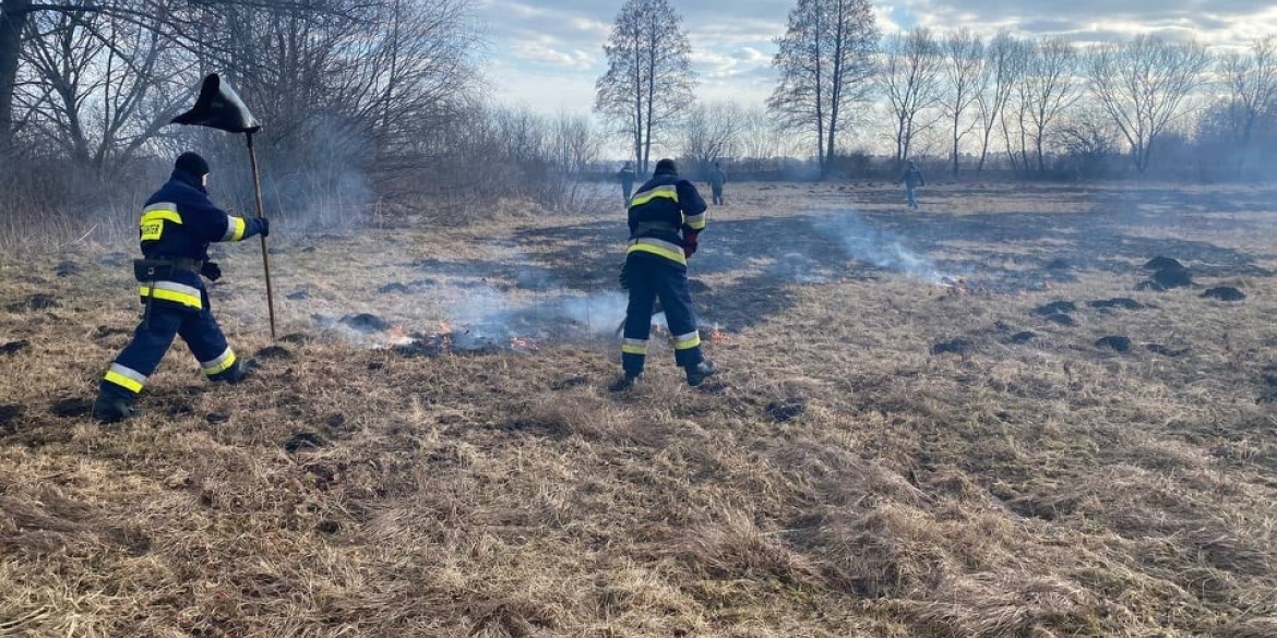 За добу у Вінницькій області сталося понад 20 пожеж в екосистемах