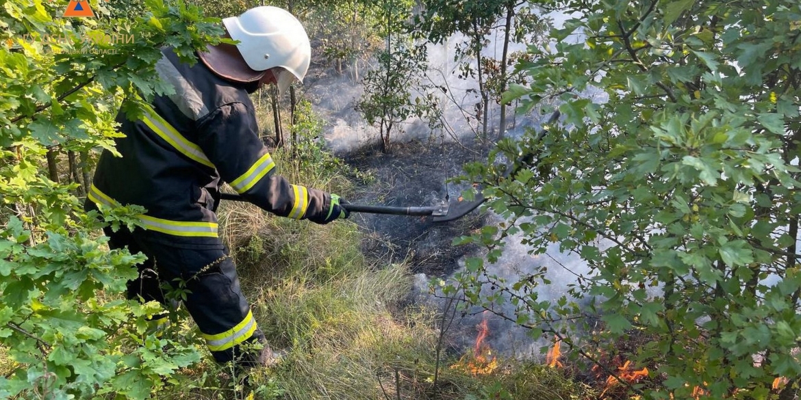 За добу у Вінницькій області сталося вісім пожеж в екосистемах