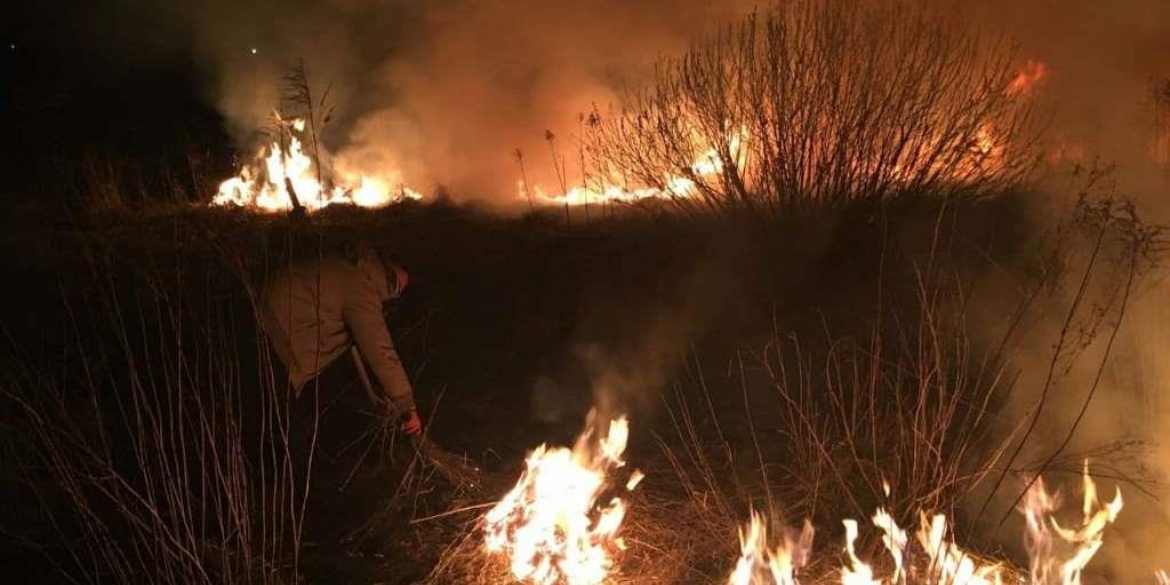 За добу у Вінницькій області сталося 12 пожеж в екосистемах