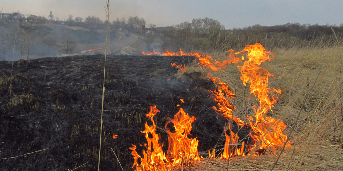 За минулу добу рятувальники Вінниччини 7 разів виїжджали на пожежі в екосистемах