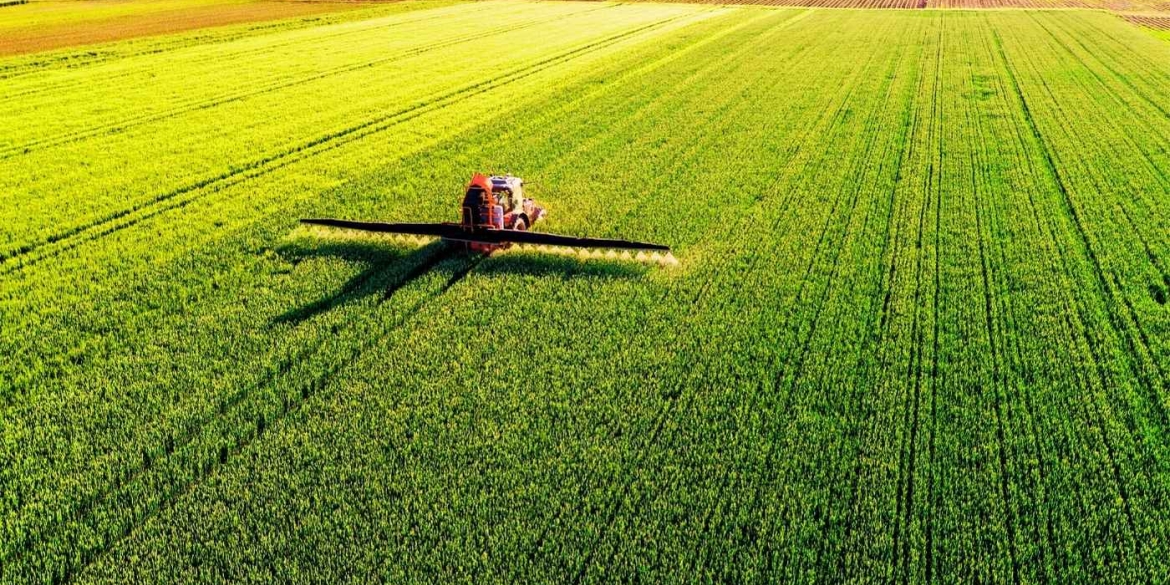 Заморозки проти врожаю чи встояли посіви на Вінниччині після квітневих погодних «гойдалок»