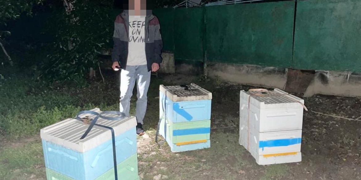Затримали двох молодиків, які у Жмеринці поцупили вулики з бджолами