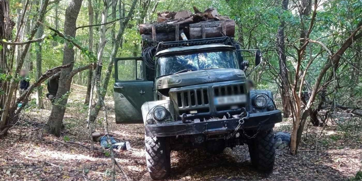 Збитків на 6,5 млн грн у природному парку на Вінниччині незаконно рубали дерева