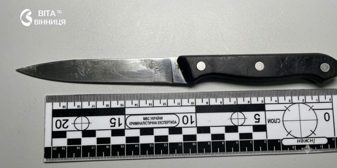 Жінка, яка вдарила ножем власну доньку, постане перед вінницьким судом