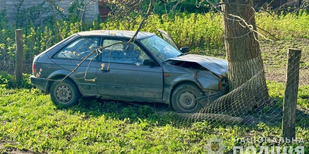 Житель Вінницького району викрав у товариша авто та врізався у ньому в дерево