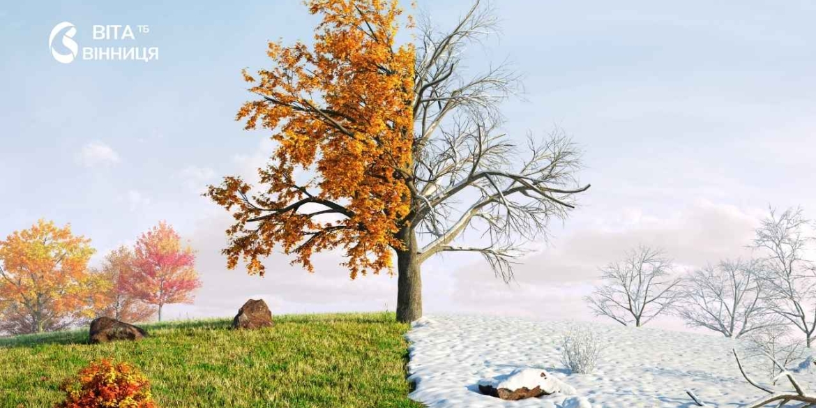 Зима може бути на 1–2°C теплішою за норму синоптикиня пояснила, як на це вплине Ель-Ніньйо