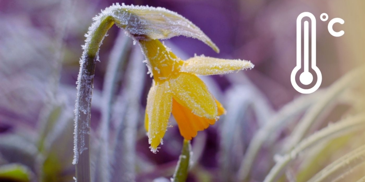 Зима повертається Синоптики дали тривожний прогноз для мешканців Вінниці та області