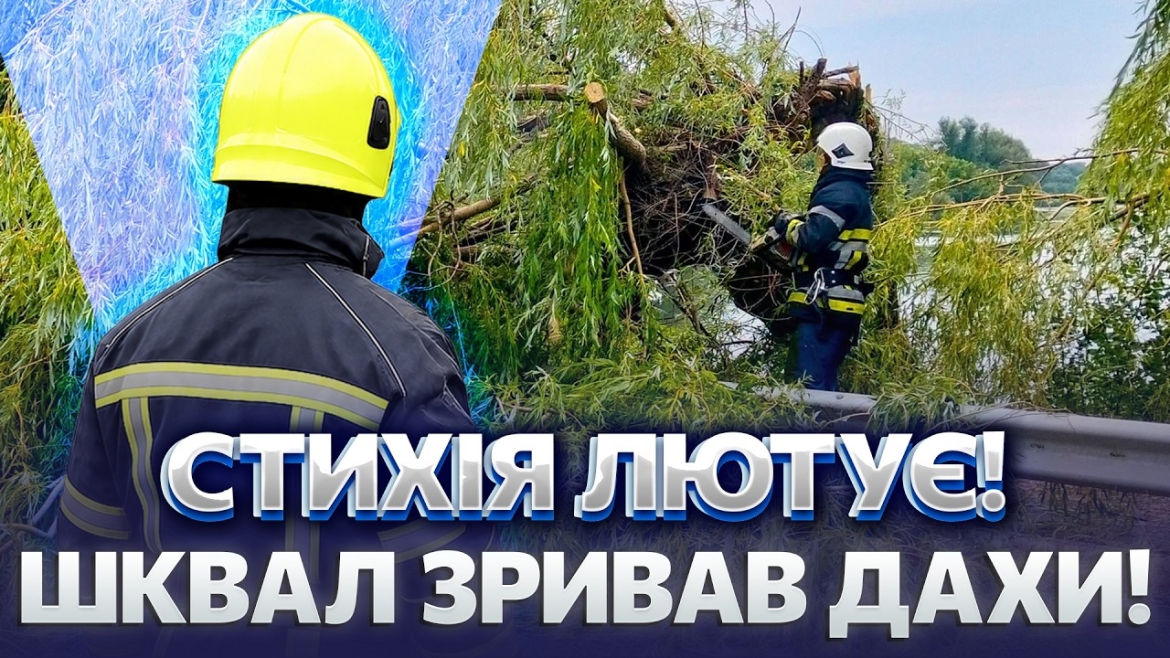 Embedded thumbnail for Повалені дерева та пошкоджений дах: на Вінниччині ліквідували наслідки шквального вітру