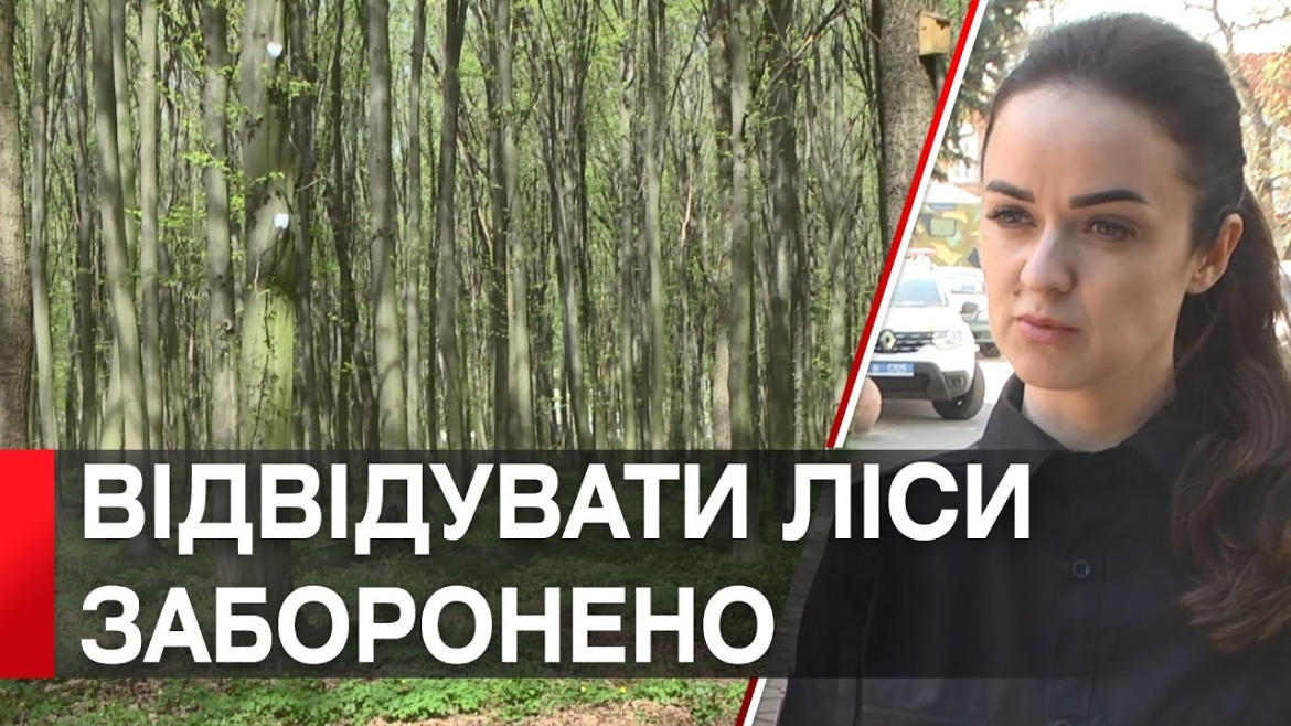 Embedded thumbnail for Вінничанам нагадують про заборону на відвідування лісів 