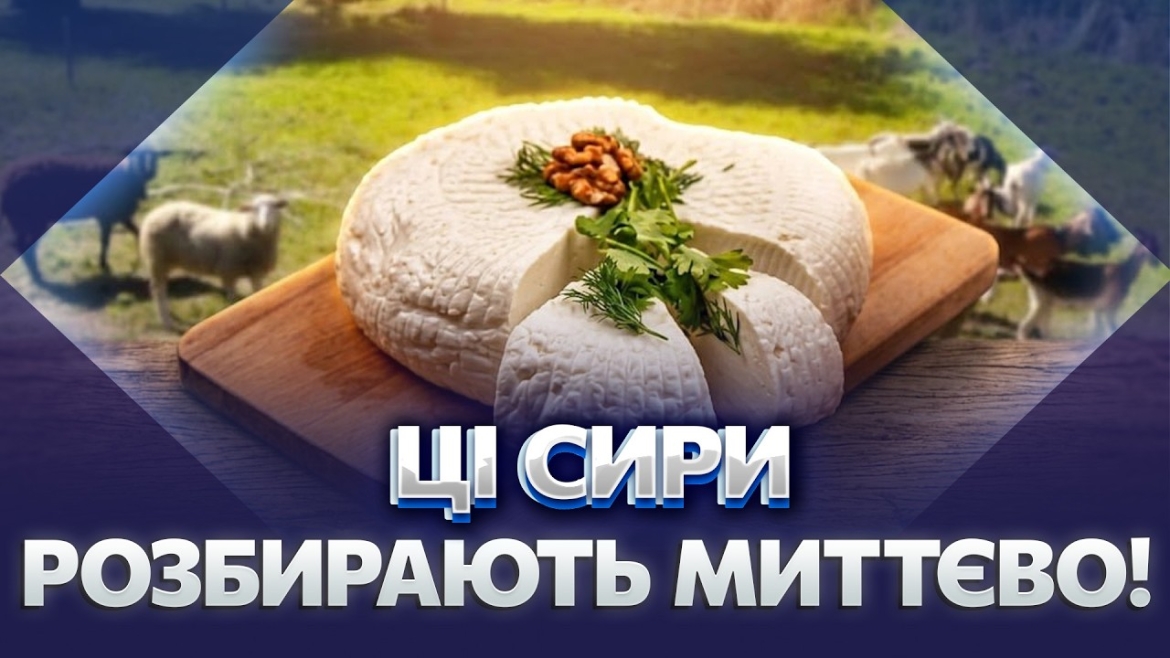 Embedded thumbnail for Почалося з однієї кози: переселенка з Луганщини налагодила сироваріння на Вінниччині