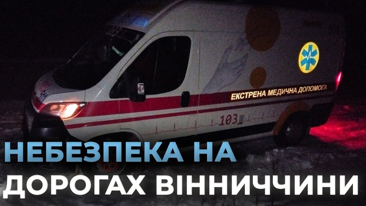 Embedded thumbnail for У чотирьох районах Вінниччини рятувальники прибирали повалені через ожеледь дерева