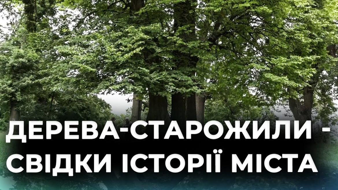 Embedded thumbnail for У Вінниці влаштували зустріч присвячену темі збереженню вікових дерев