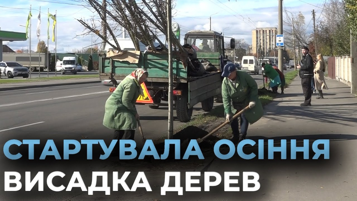 Embedded thumbnail for У Вінниці стартувала осіння висадка дерев та кущів - кленів, платанів, дубів і бірючини