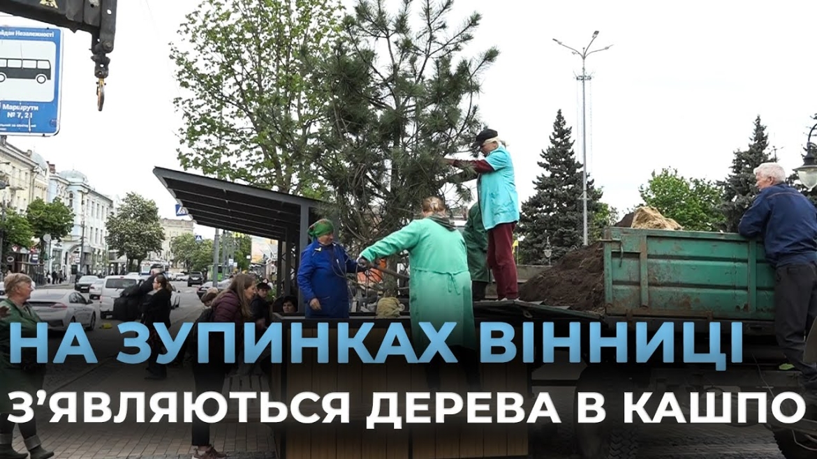 Embedded thumbnail for Ще одне кашпо встановили у Вінниці на Майдані Незалежності біля зупинки громадського транспорту