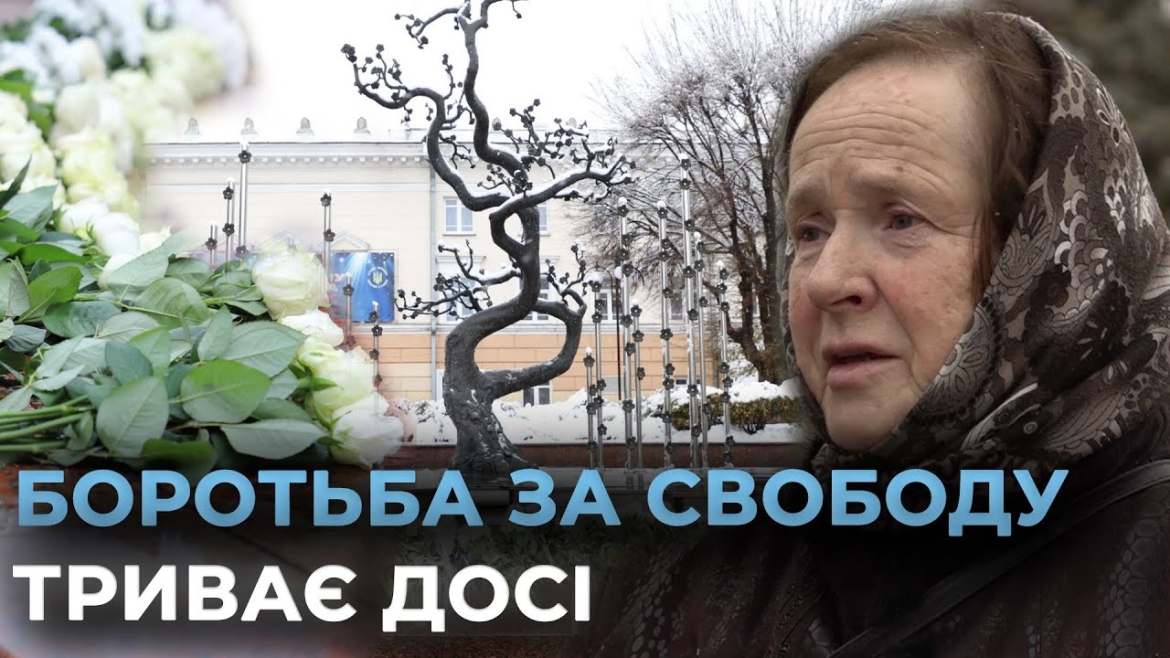 Embedded thumbnail for &quot;Мам, майдан - то країна в країні&quot;: спогади матері Героя Небесної Сотні про Революцію Гідності