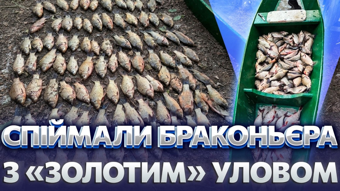 Embedded thumbnail for На Вінниччині браконьєр наловив 91 кг риби на Південному Бузі — збитки перевищили 308 тис. грн