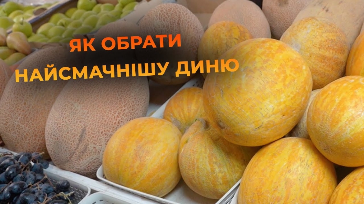 Embedded thumbnail for Незвичні сорти дині: чим дивує вінницький ринок цього літа