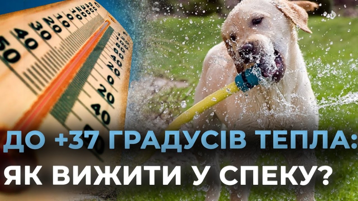 Embedded thumbnail for У Вінниці 8 липня триматиметься спека, вдень можливий короткочасний дощ