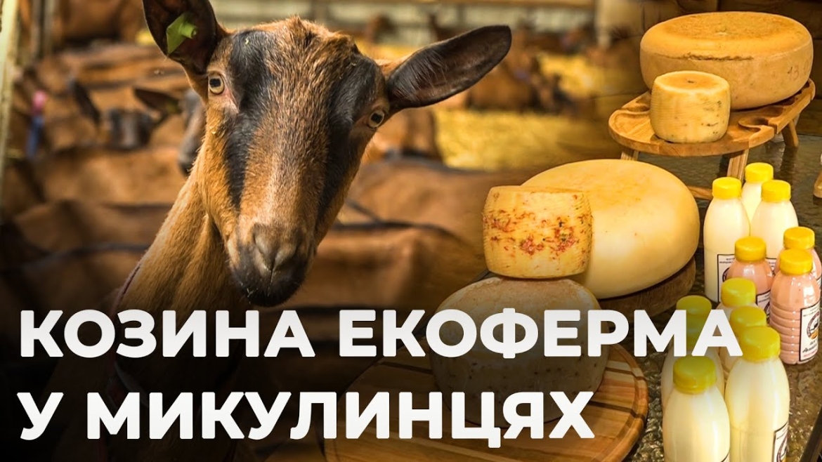Embedded thumbnail for На Вінниччині працює козина екоферма, де виготовляють крафтові продукти