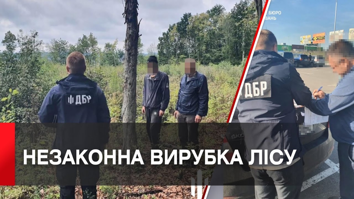 Embedded thumbnail for Посадовців Крижопільського лісгоспу та обласного управління судитимуть за мільйонні збитки