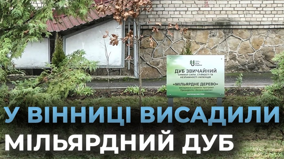 Embedded thumbnail for Зелена країна: у Вінниці висадили "мільярдне дерево" в рамках президентської програми