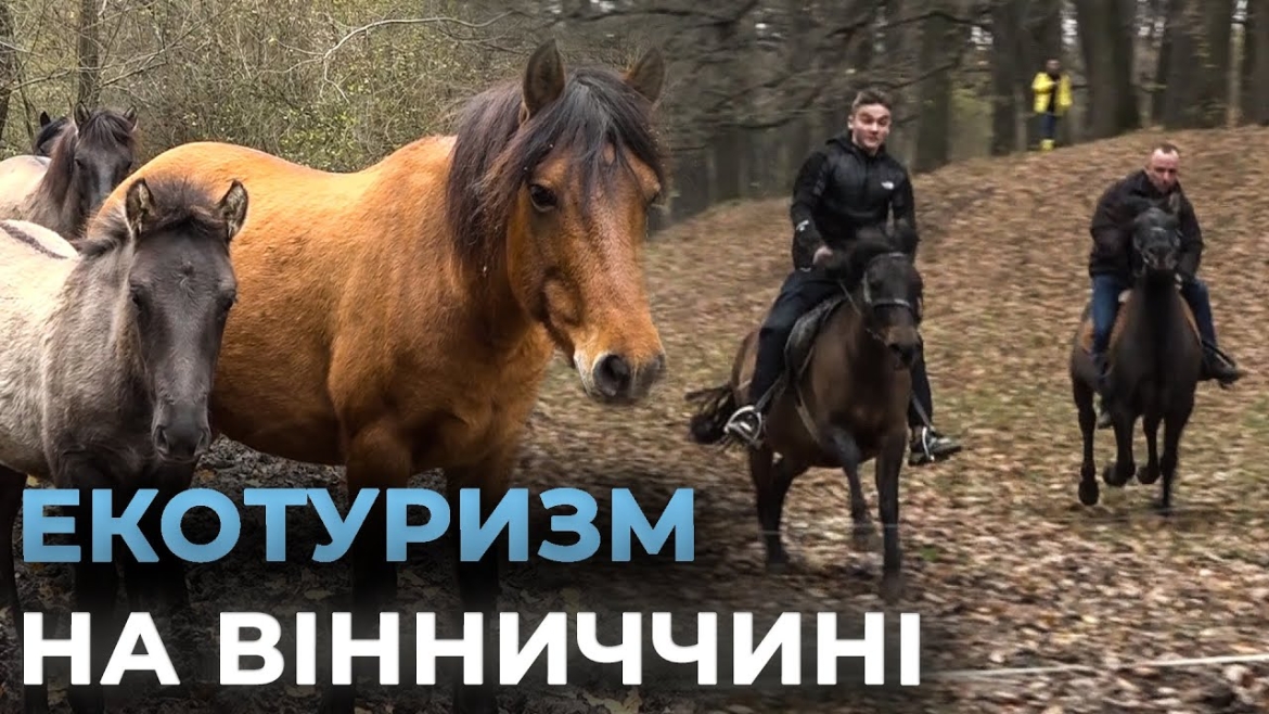 Embedded thumbnail for Сироварня та ранчо: на Вінниччині створили унікальний туристичний маршрут