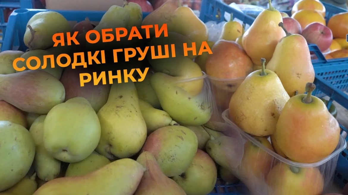 Embedded thumbnail for Груші на вінницьких прилавках: скільки коштують та як обрати найкращі