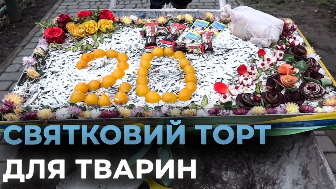 Embedded thumbnail for У Вінниці "Подільський зоопарк" пригостив 30-кілограмовим тортом мешканців звіринцю