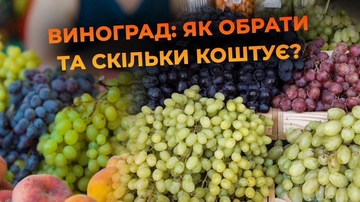 Embedded thumbnail for Які сорти винограду можна придбати на вінницькому ринку